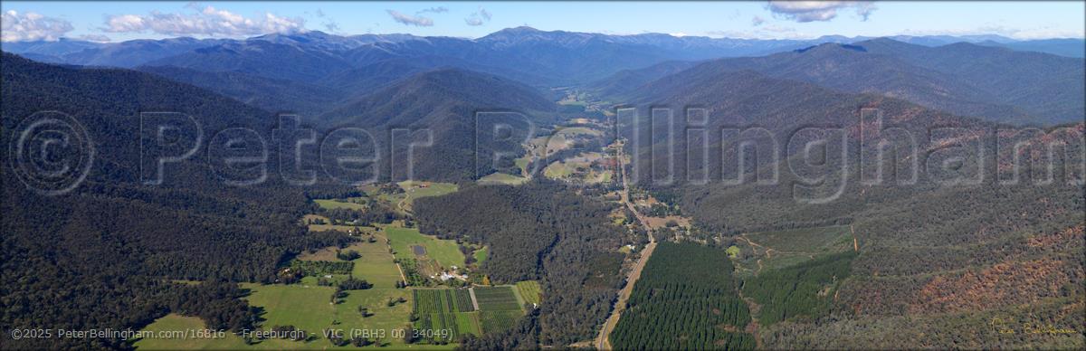 Peter Bellingham Photography Freeburgh - VIC (PBH3 00 34049)